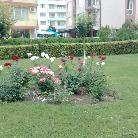 Apartment Bravo 5 *